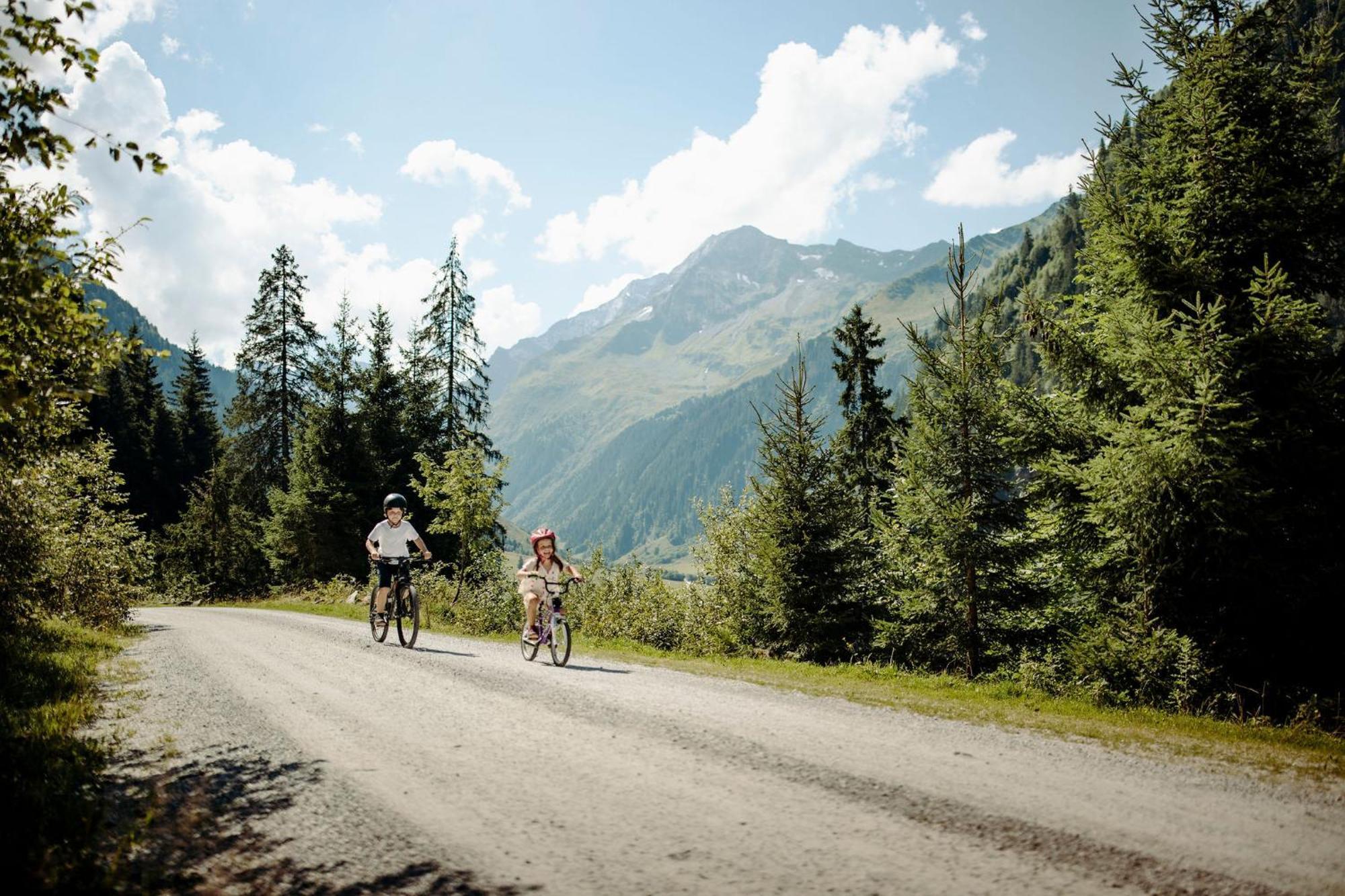 Das Gemuetliche Dorfhotel Kaltenhauser Hollersbach im Pinzgau Zewnętrze zdjęcie